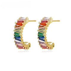 Zirconium 925 Silver Retro earring -NCE-059