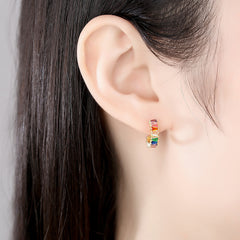 Zirconium 925 Silver Retro earring -NCE-059