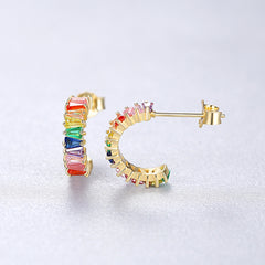 Zirconium 925 Silver Retro earring -NCE-059