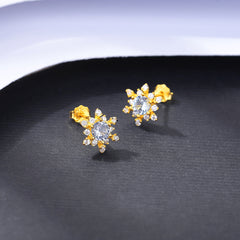 Delicate Snowflake s925 Silver Stud Earrings -SE21011612